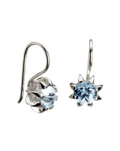 Kalevala Naisen ääni korvakorut hopea 2667670TOK