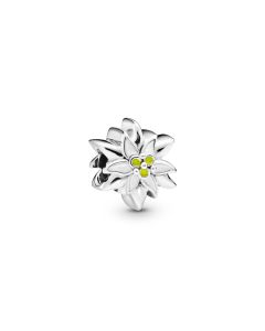 Pandora hopeinen hela Edelweiss Flower 798243ENMX