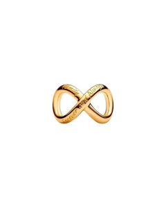 Pandora Forever & Always Family Infinity hela kullattu 763243C00