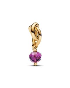 Pandora Birthstone February Purple Eternity Circle hela kullattu 763462C02