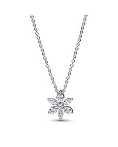 Pandora Timeless Sparkling Herbarium Cluster riipus 392387C01-45