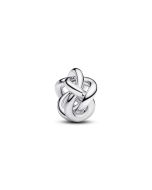 Pandora Infinity Love Knot hela 793755C00