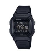 Casio Collection W-800H-1BVES