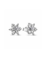 Pandora Timeless Sparkling Herbarium Cluster korvakorut 292633C01