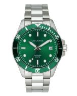 Leijona Järwi Evergreen Pond 5012-2553