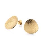 Lumoava Lily korvakorut keltakullattu L64257900000