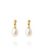 Mockberg Aura Pearl Gold korvakorut MB2076