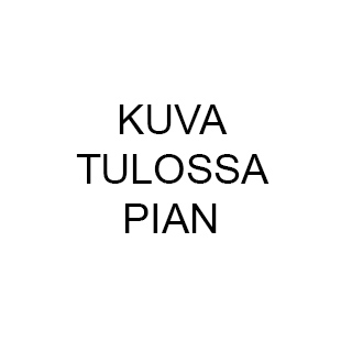 Kummilusikka Haikara